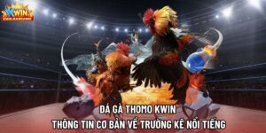 Đá Gà Thomo Kwin | Thông Tin Cơ Bản Về Trường Kê Nổi Tiếng