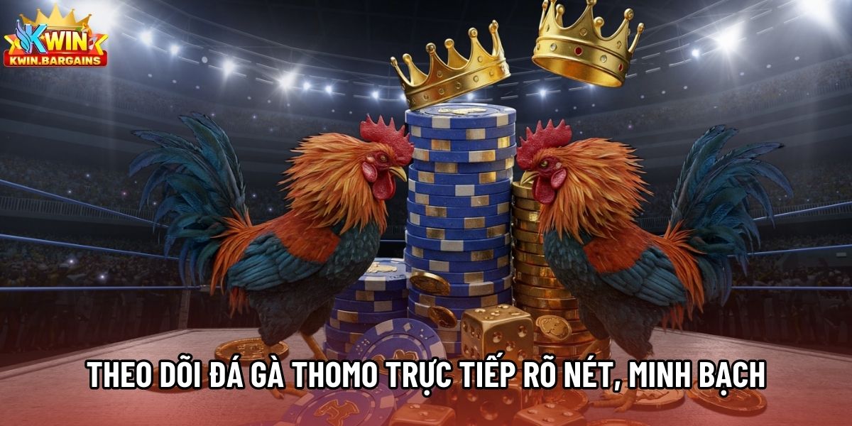 Theo dõi đá gà Thomo trực tiếp rõ nét, minh bạch